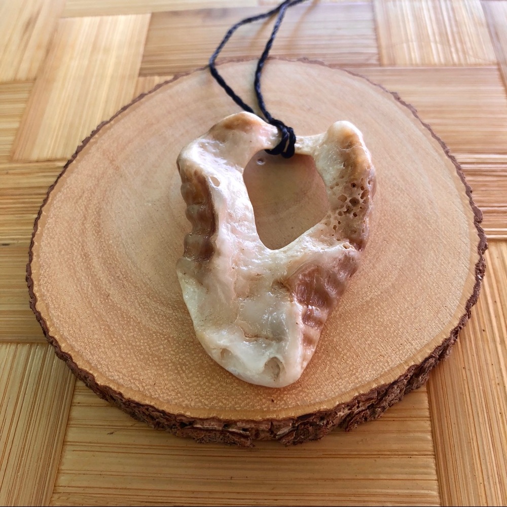 Shell necklace #206